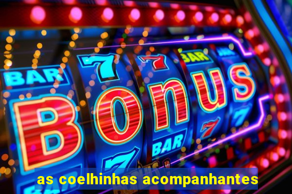 as coelhinhas acompanhantes